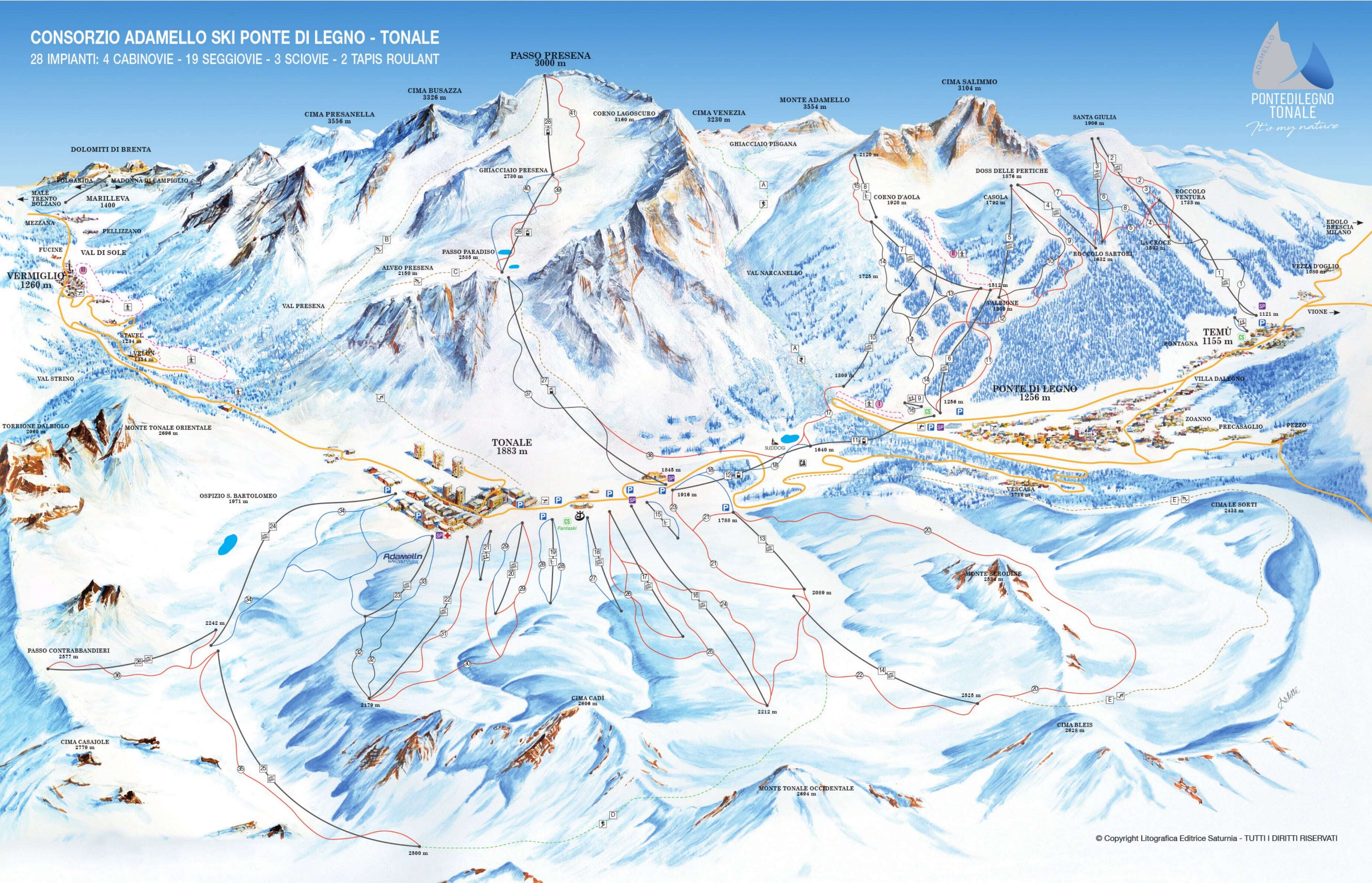 Tonale Ski