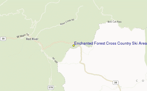 Forest Cross Country Ski