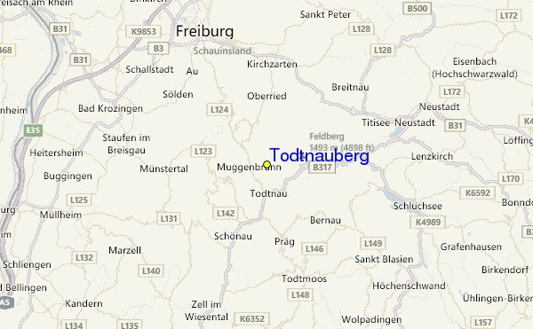 Todtnauberg Ski Resort Guide, Location Map & Todtnauberg ski holiday