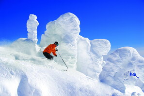Big White Photo