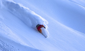 Cortina Photo