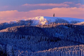 Feldberg Photo