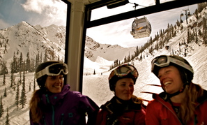 Kicking Horse photo