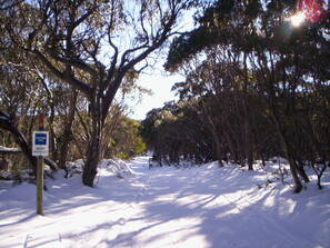 Lake Mountain Photo