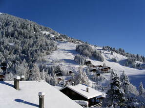 Morgins photos