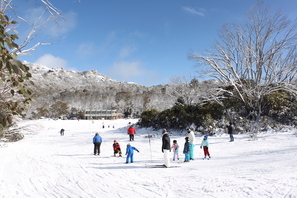 Mount Buffalo Photo