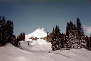 Mt Hood Meadows Photo