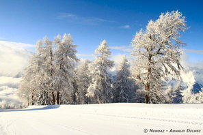Nendaz Photo