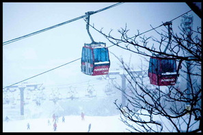 Niseko Hirafu Photo