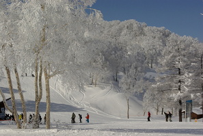 Nozawa Onsen photos