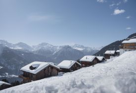 Riederalp - Aletsch Photo