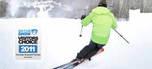 Timberline Four Seasons Photo