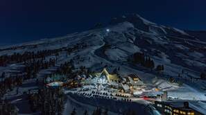 Timberline Photo
