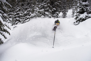 Whistler Photo