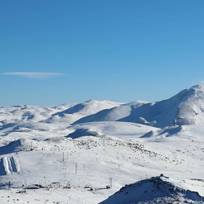 Zare Lazarevski Photo