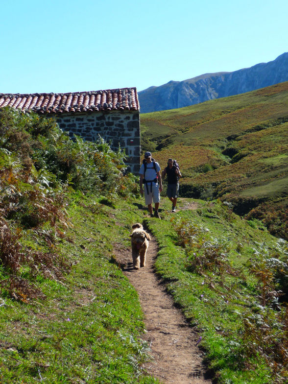 Ody by Vic, Picos De Europa