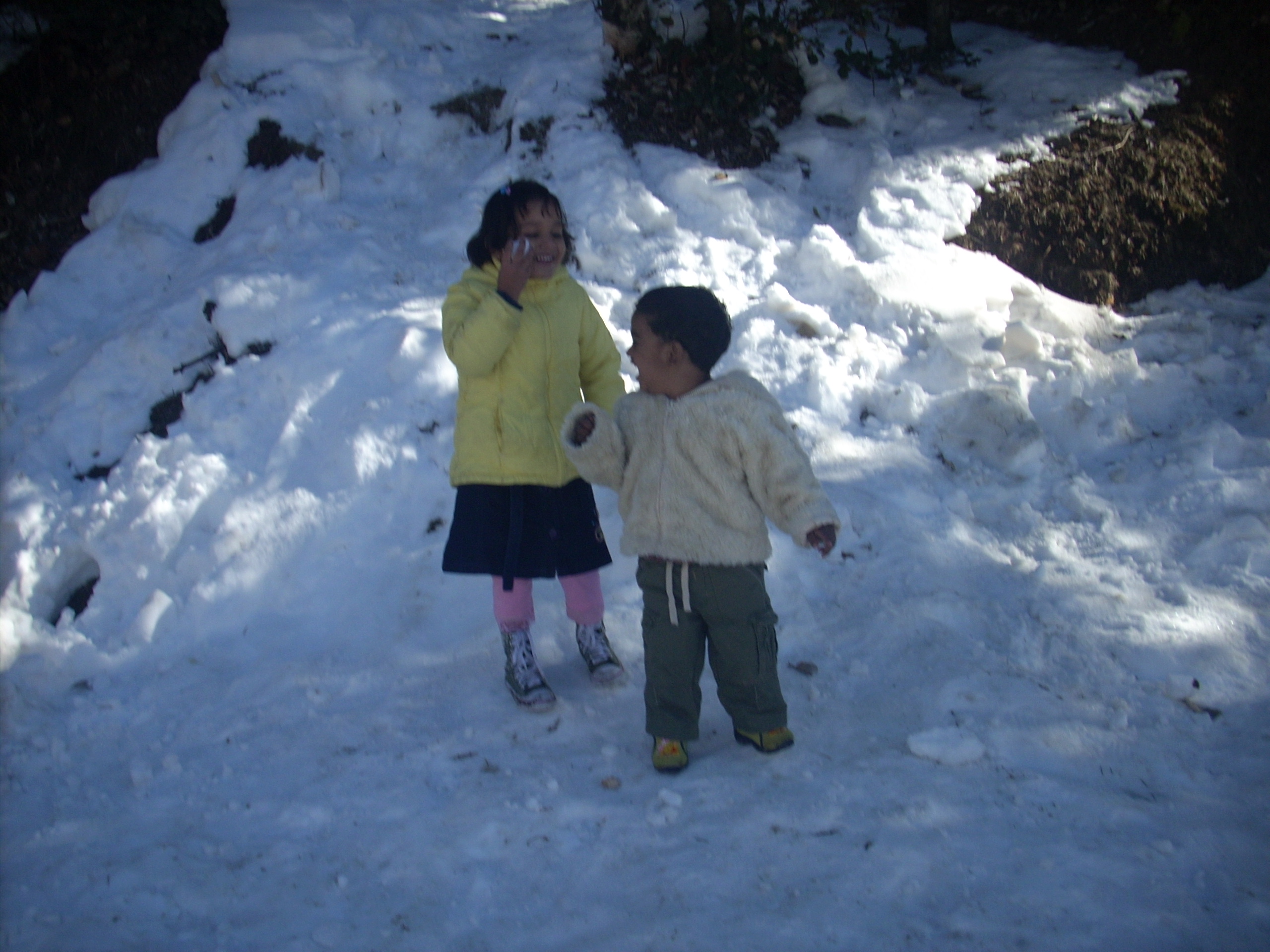 Manali Weather Forecast