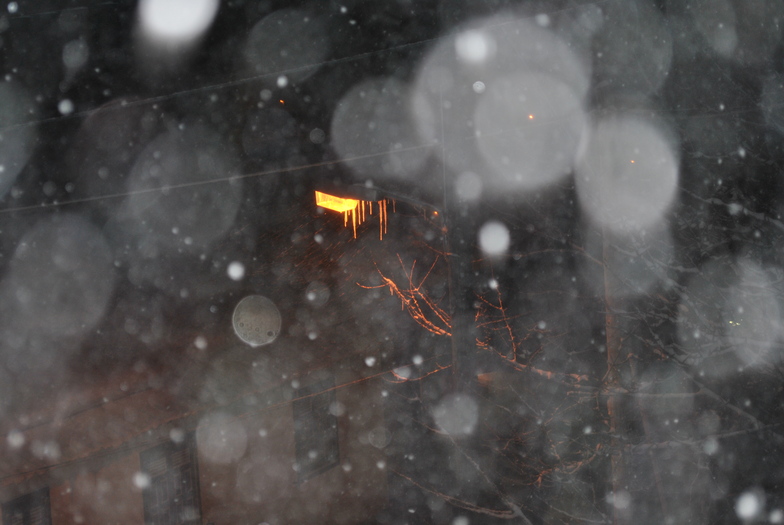 snow dreams, Seli