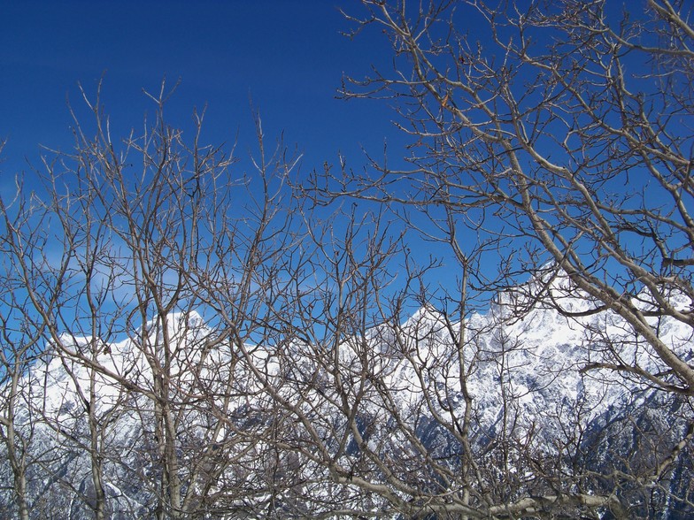 Peaks, Auli