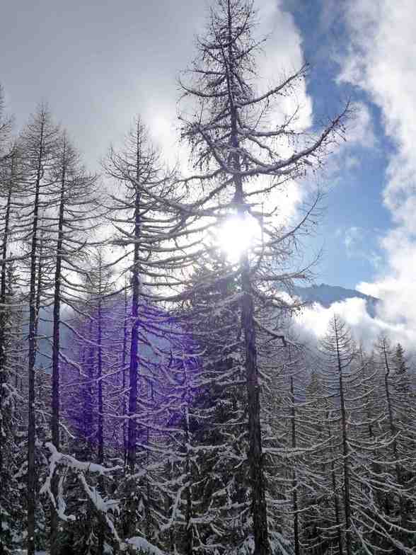 heaven, Sainte Foy