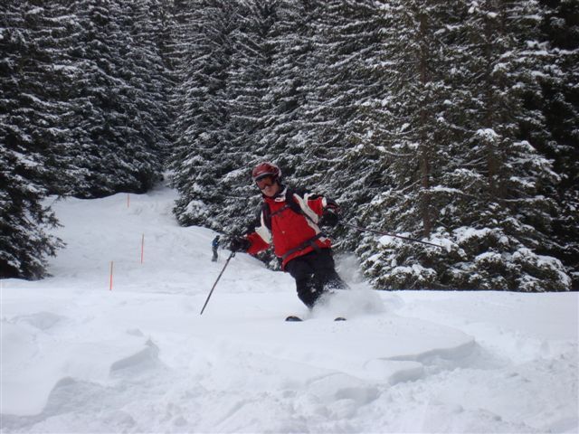 Godfrey in the Rinerhorn trees above Davos