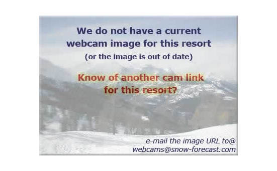 Chamonixの雪を表すウェブカメラのライブ映像