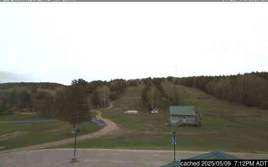 Live webcam per Ski Martock se disponibile