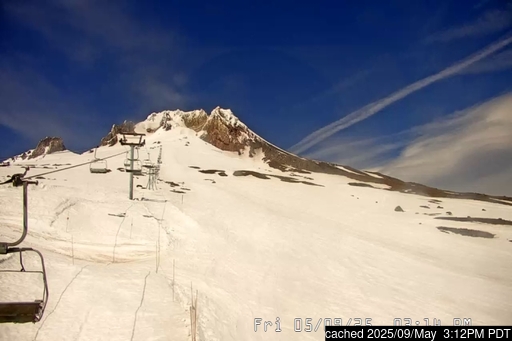 Live webcam para Timberline se disponível