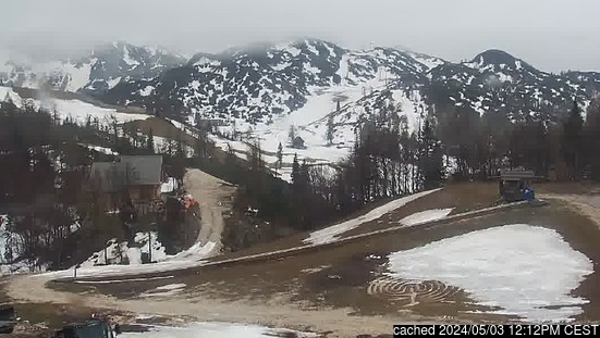 Live Sneeuw Webcam voor Vogel