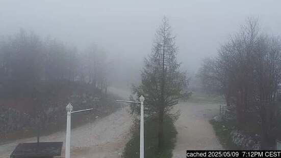 Live Snow webcam for Vogel