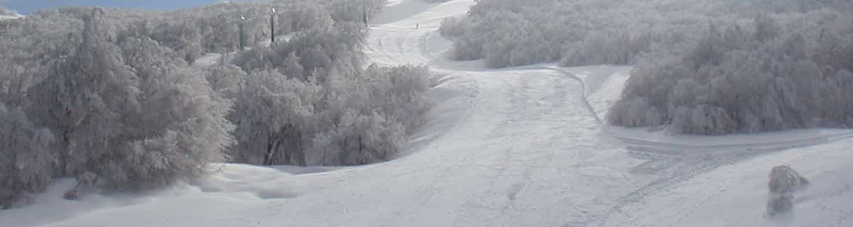 snowy resort image