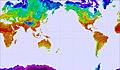 Global - Pacific View temperature map