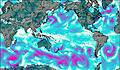 Global - Pacific View wind forecast for this period