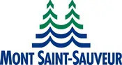 Mont-Saint-Sauveur logo