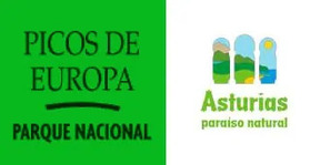 Picos-De-Europa logo