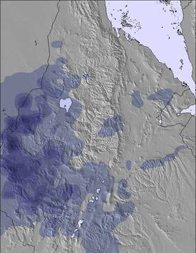 Ethiopia Snow Map (3 Days)