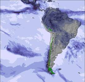 South America Snow Map (3 Days)
