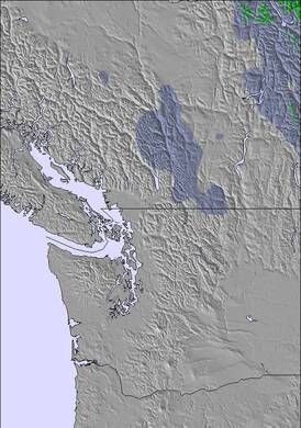 Washington / Vancouver Snow Map (3 Days)
