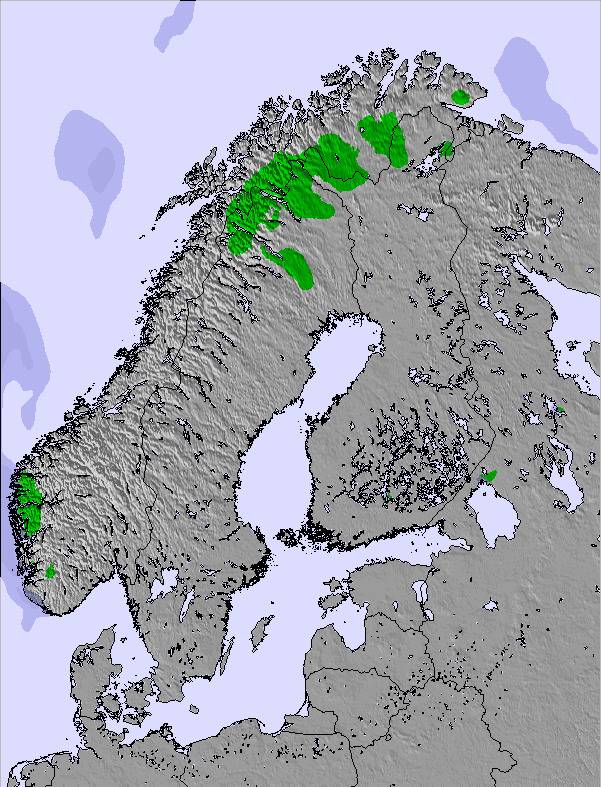 Weather Map And Snow Conditions For Scandinavia