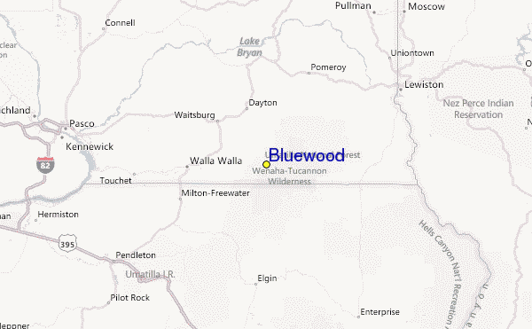 Bluewood Ski Resort Guide, Location Map & Bluewood ski holiday 