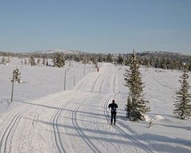 sjusjoen sjusjoen