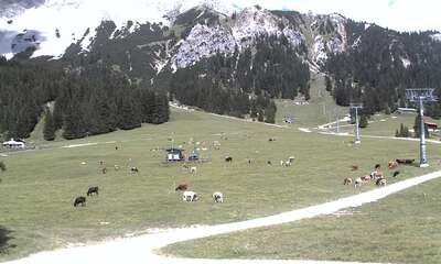 Ehrwald webcam