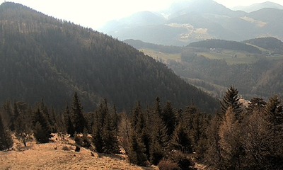 Puchberg am Schneeberg/Salamander webcam