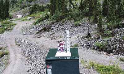 Fernie webcam