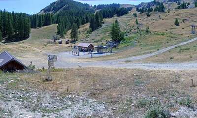 Reallon webcam