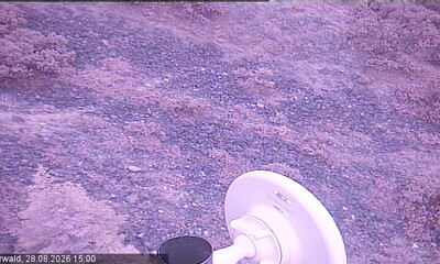 Ehrwald webcam