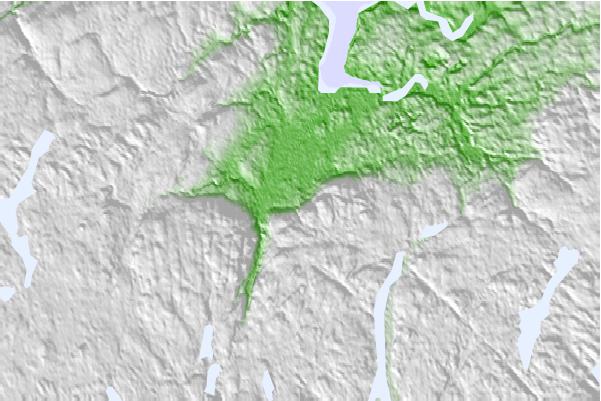 @{@location.name} neighbourhood basemap