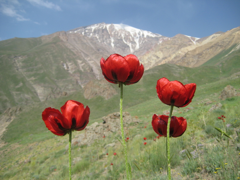 MT Damavan, Mount Damavand