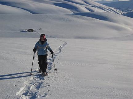 Snow Shoe Tour Aspiring Guides, Snow Farm