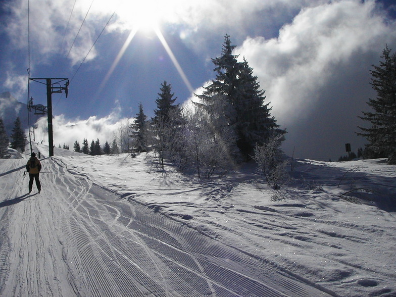 Les Houches 2006